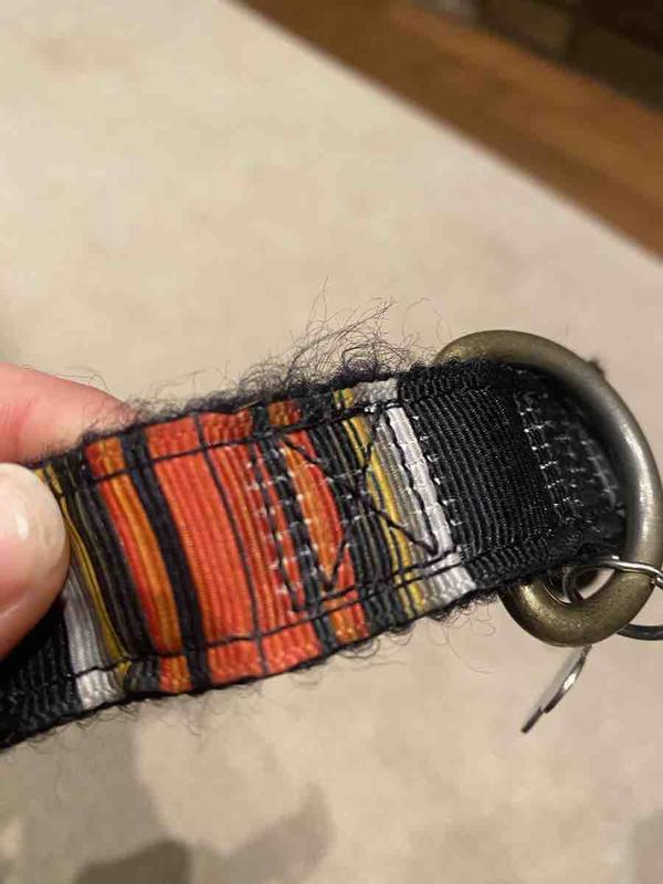 Review Thumbnail Image 0 230655552