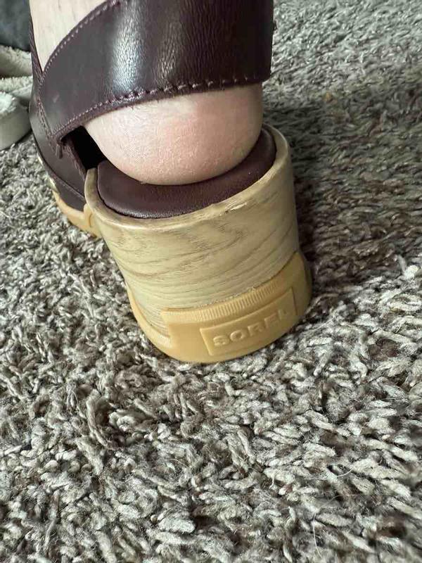 Review Thumbnail Image 0 244198386