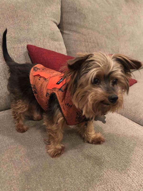 Review Thumbnail Image 0 212239055