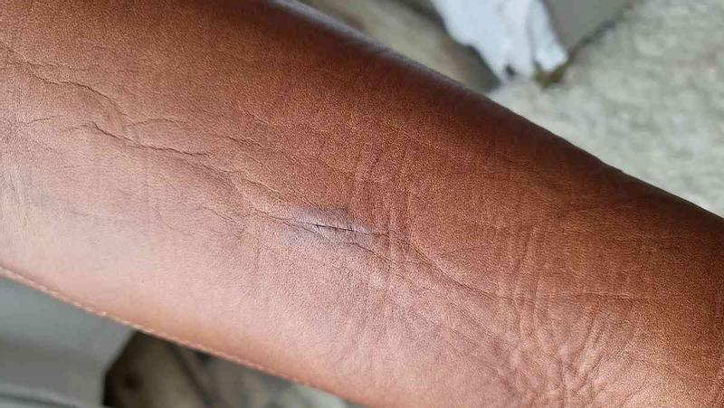 Review Thumbnail Image 0 228227741