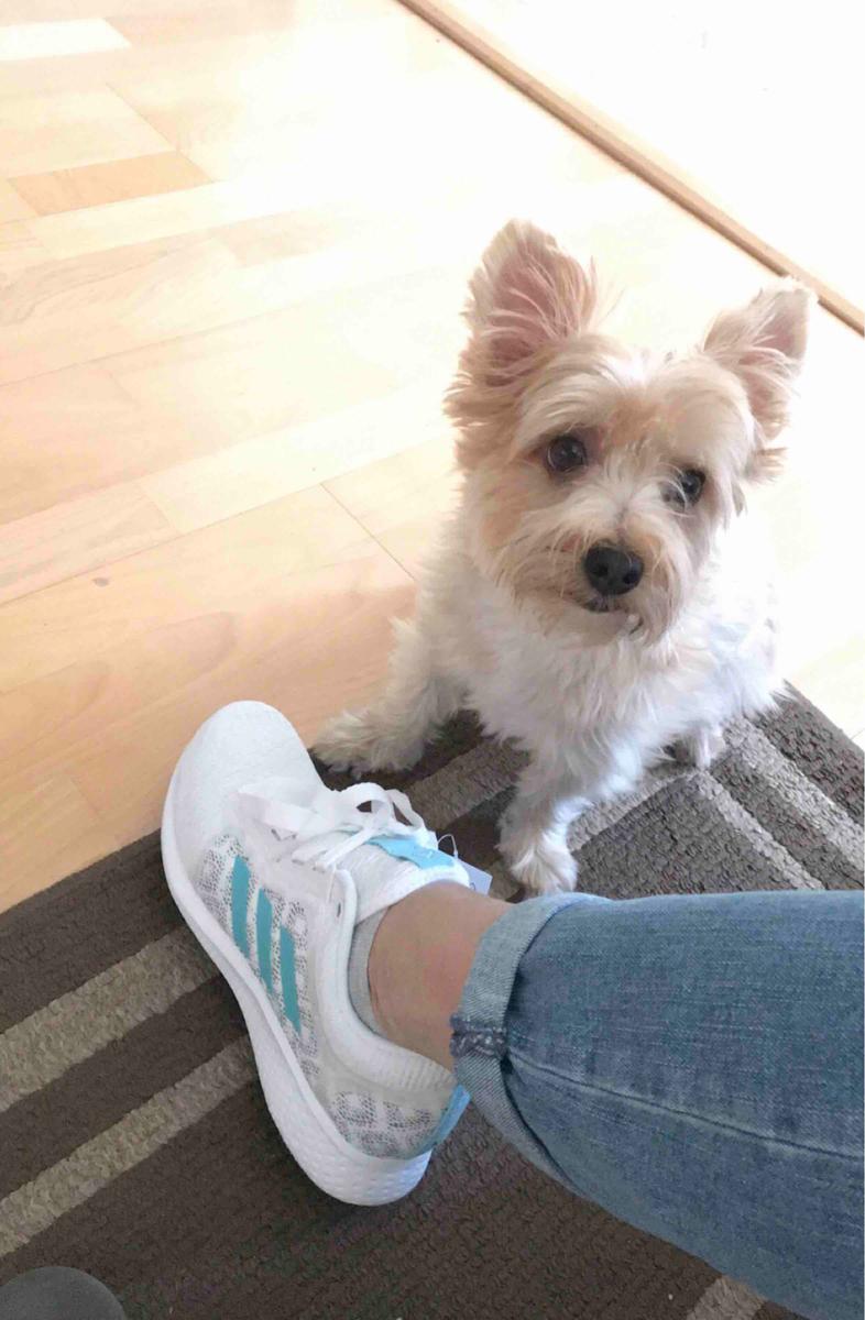 Review Thumbnail Image 1 199974867