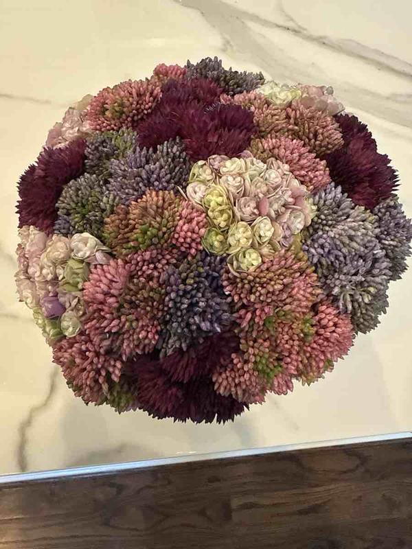 Review Thumbnail Image 1 241112674