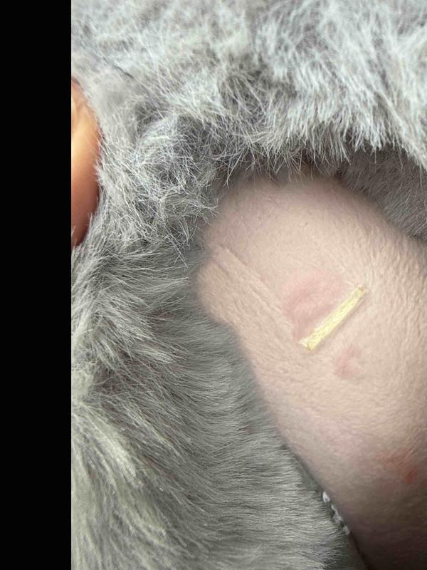 Review Thumbnail Image 1 247228744