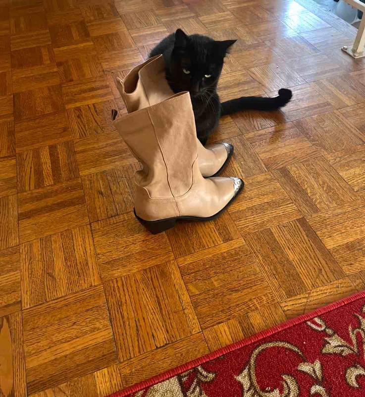 Review Thumbnail Image 2 242593030