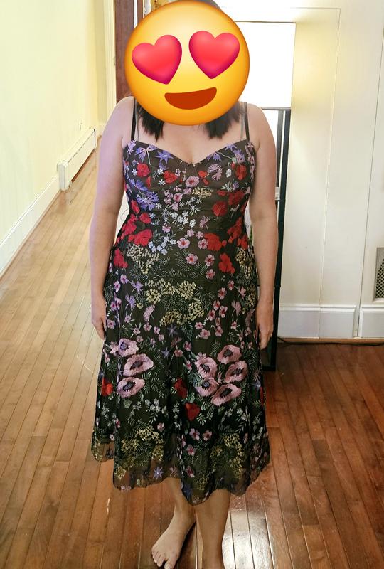 dress the population carlita bustier a-line midi dress Floral Embroidery (Women) scale floral embroidery brings