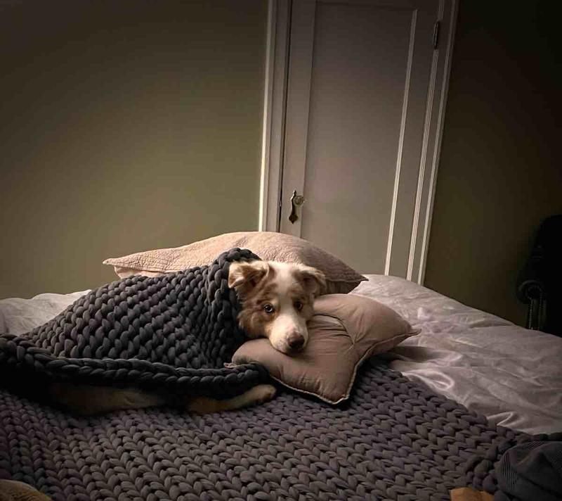 Review Thumbnail Image 0 215340453