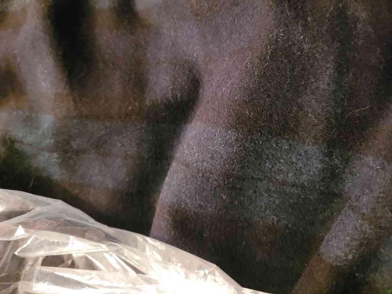 Review Thumbnail Image 0 240012364