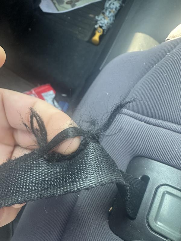 Customer photo for "Straps Shredding- Not worth the money"