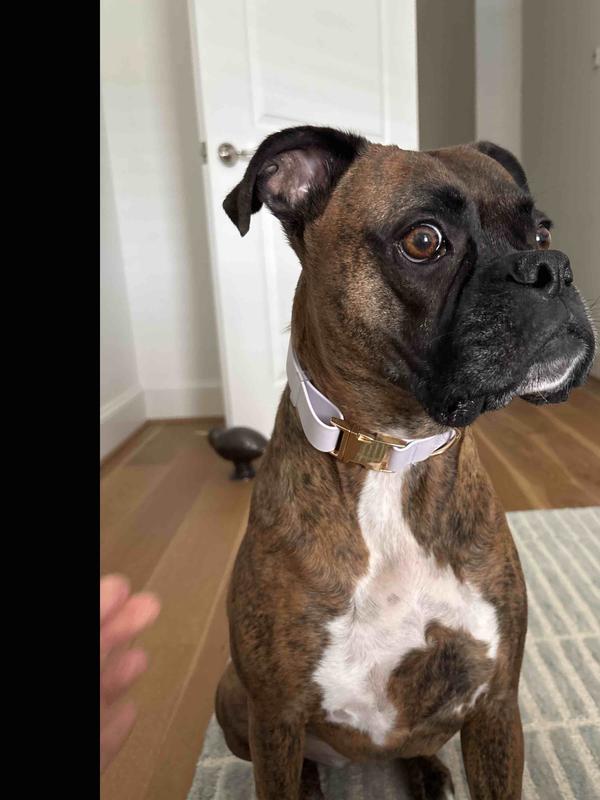 Review Thumbnail Image 0 249708605