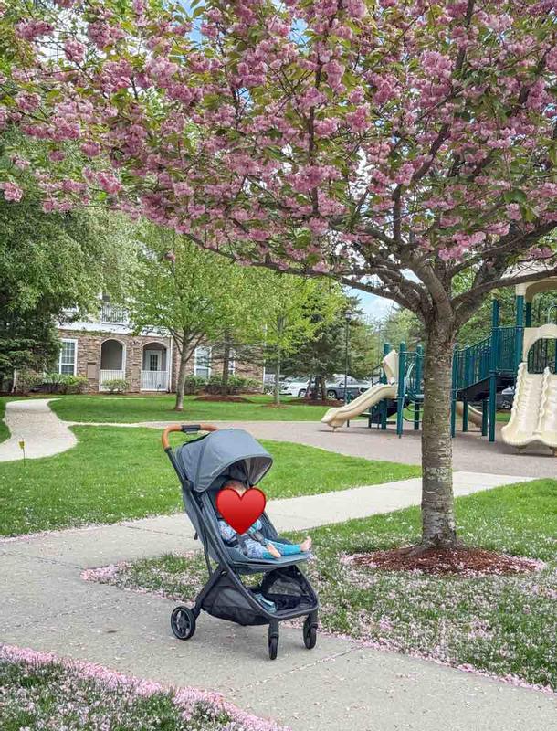 Review Thumbnail Image 0 241814520