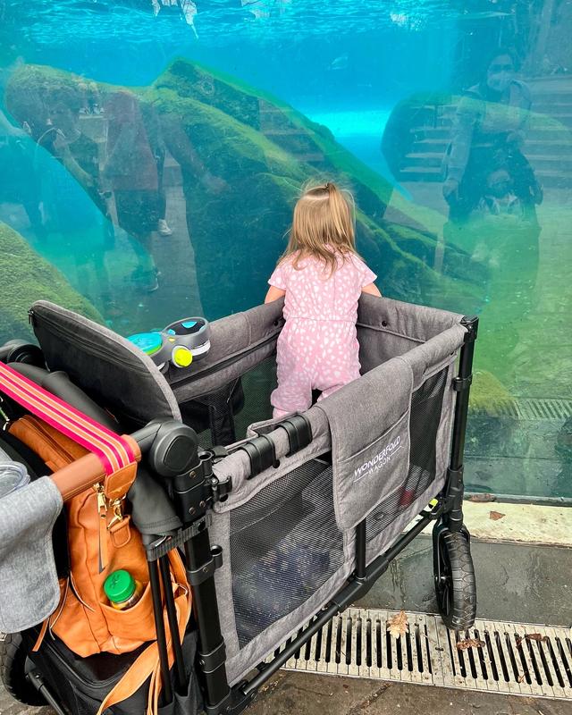 Review Thumbnail Image 0 217572671