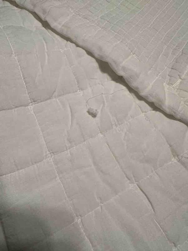 Review Thumbnail Image 0 241404203