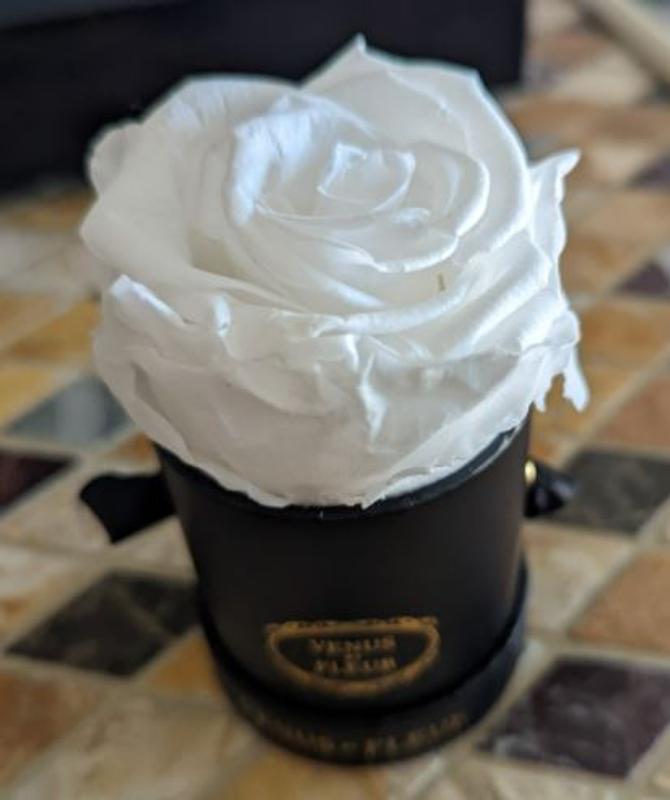 Review Thumbnail Image 0 214914381