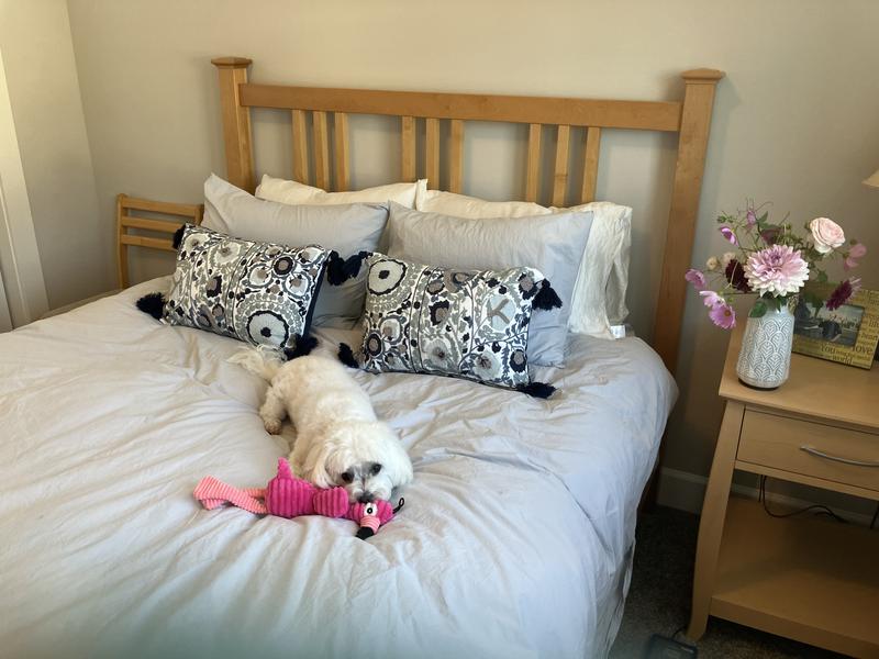 Review Thumbnail Image 0 235851203