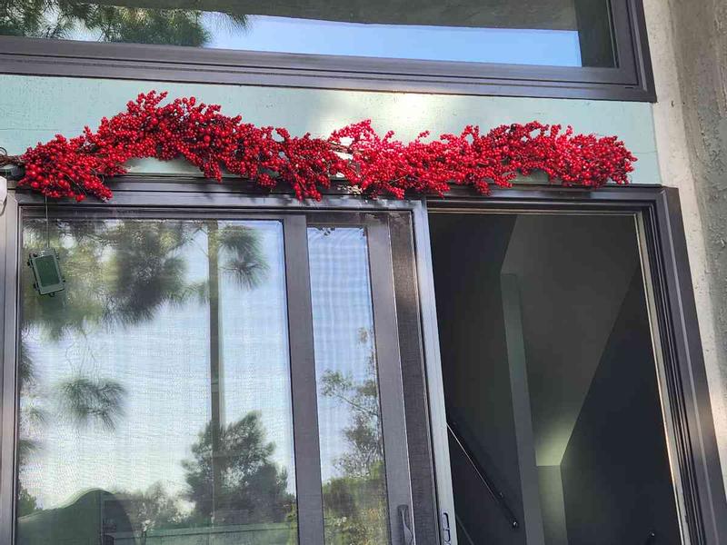 Review Thumbnail Image 0 229701022