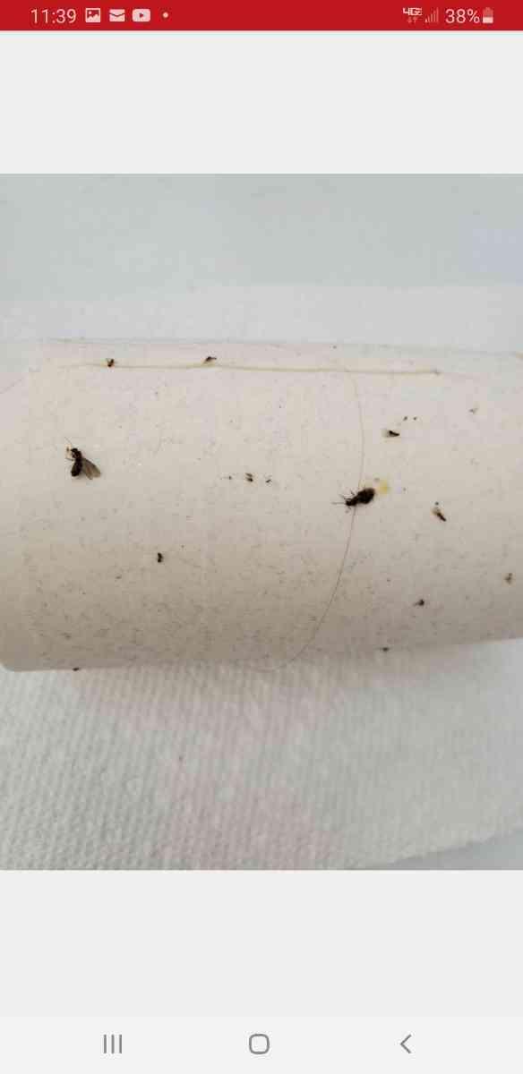 Review Thumbnail Image 0 208595743