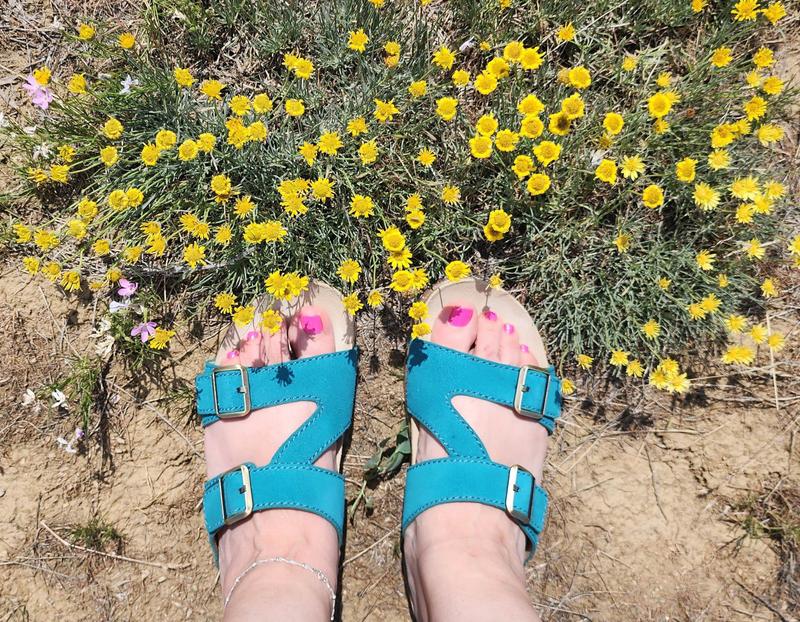 Review Thumbnail Image 0 225650660