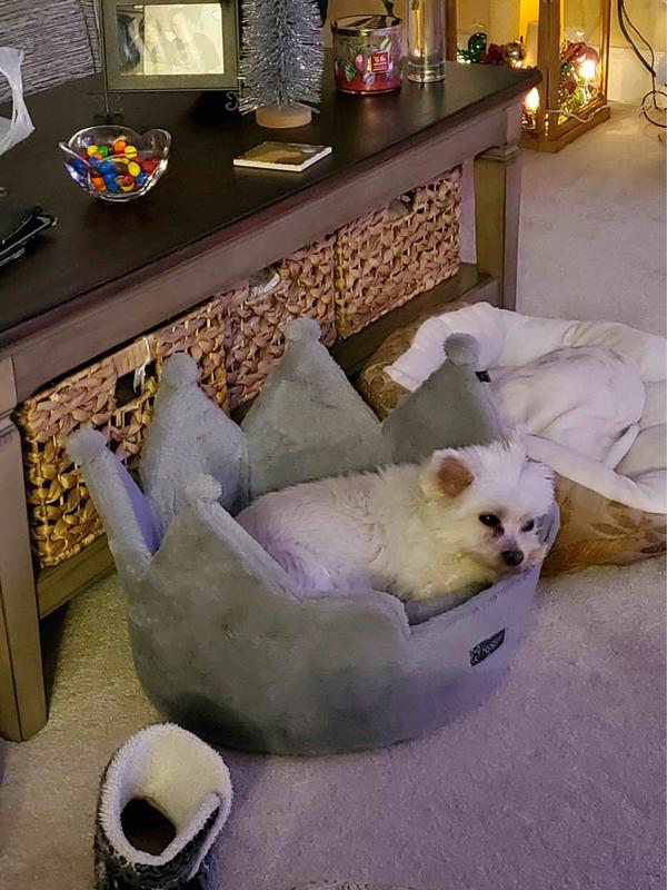 Review Thumbnail Image 0 212871355