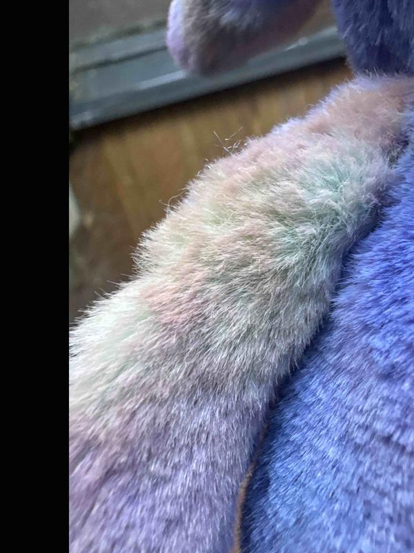 Review Thumbnail Image 1 248905855