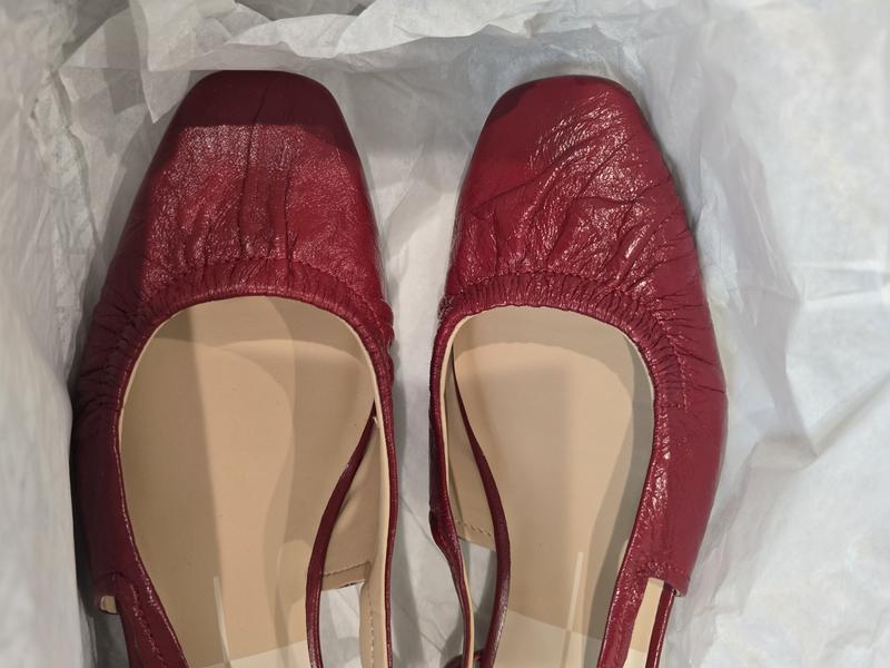 Review Thumbnail Image 2 243454068