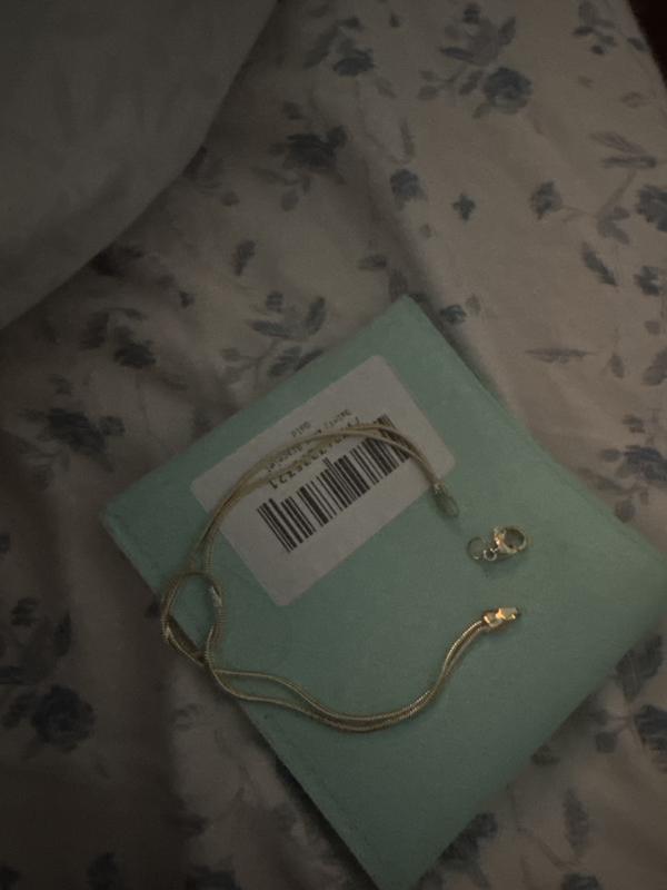 Customer photo for "Broke Clasp"