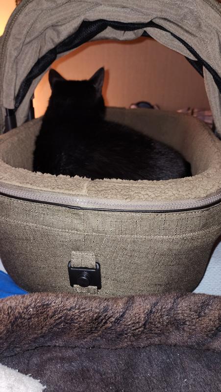 Review Thumbnail Image 0 234933026