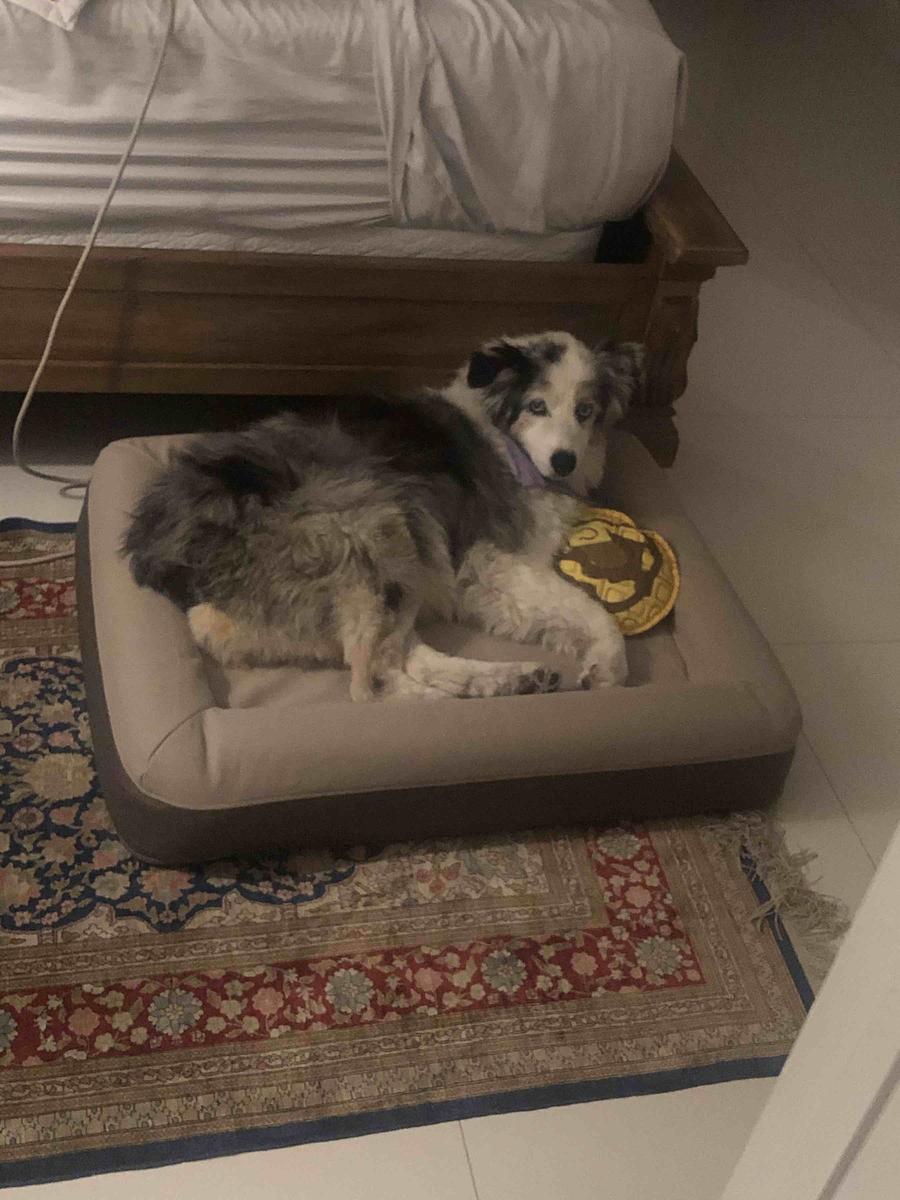 Review Thumbnail Image 0 204756201