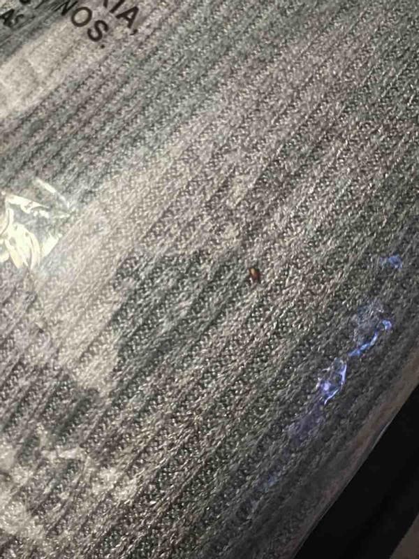 Review Thumbnail Image 2 230393599