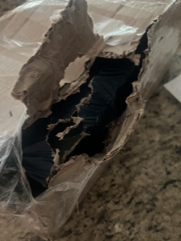 Review Thumbnail Image 0 242452178