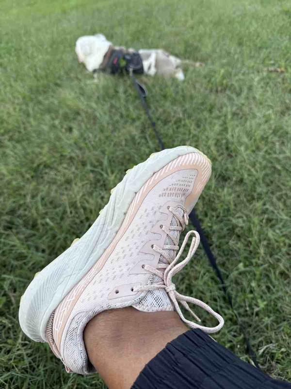 Review Thumbnail Image 1 244998411