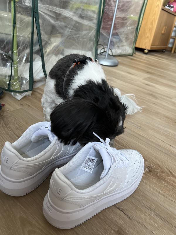 Review Thumbnail Image 0 217386467