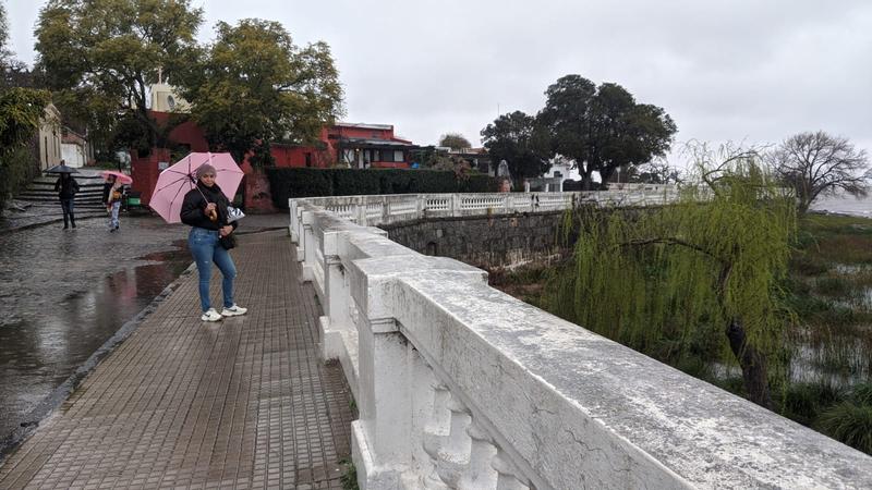 Review Thumbnail Image 1 239130056