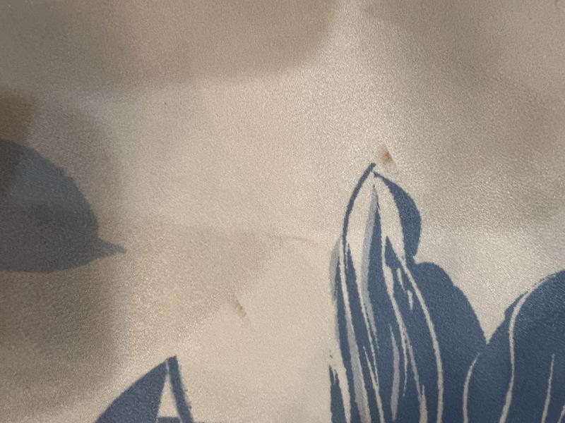 Review Thumbnail Image 1 244030750