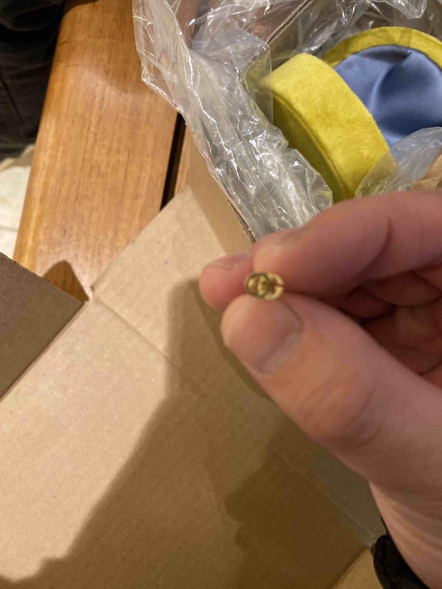 Review Thumbnail Image 0 202584064