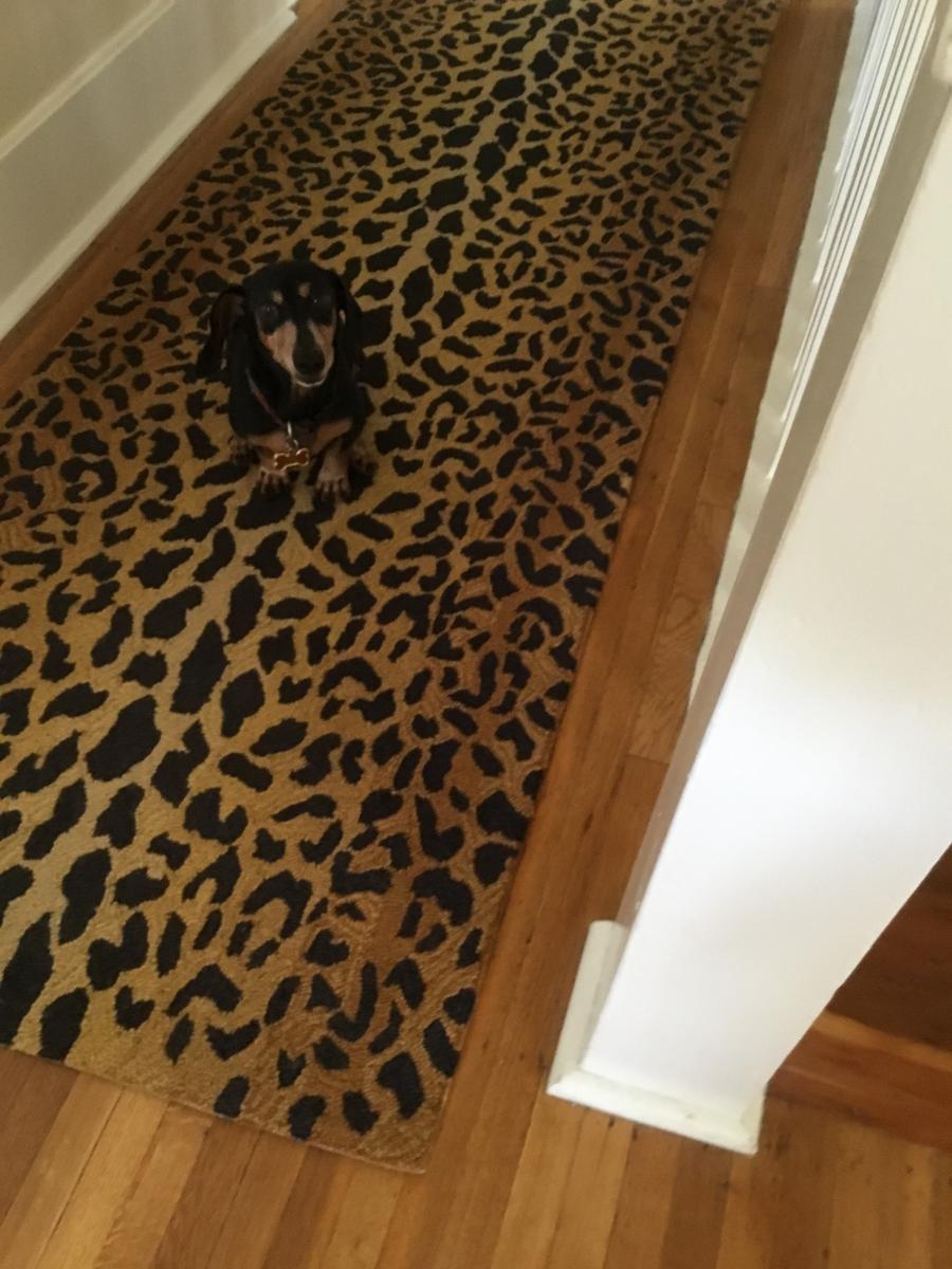 Customer photo for "Just what I wanted..."