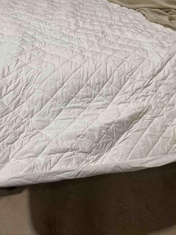 Review Thumbnail Image 0 239932392