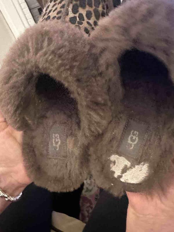 Review Thumbnail Image 0 239817019