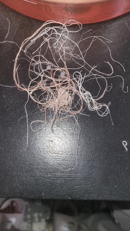 Review Thumbnail Image 1 243603538