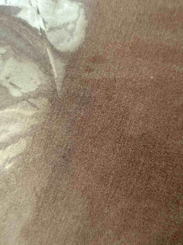 Review Thumbnail Image 2 243314176