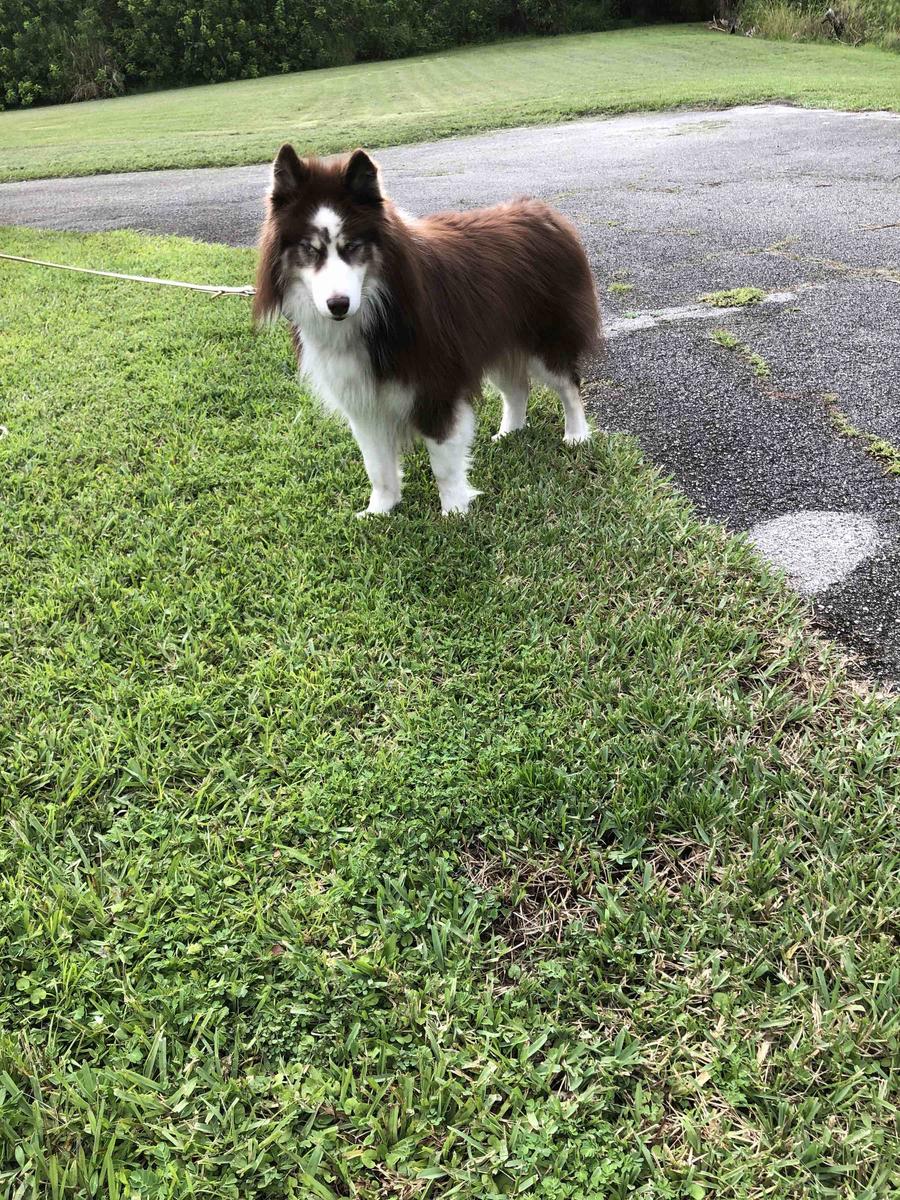 Customer photo for "Beware"