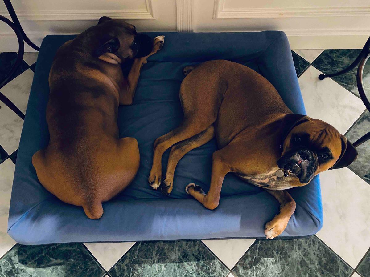 Review Thumbnail Image 1 197116619