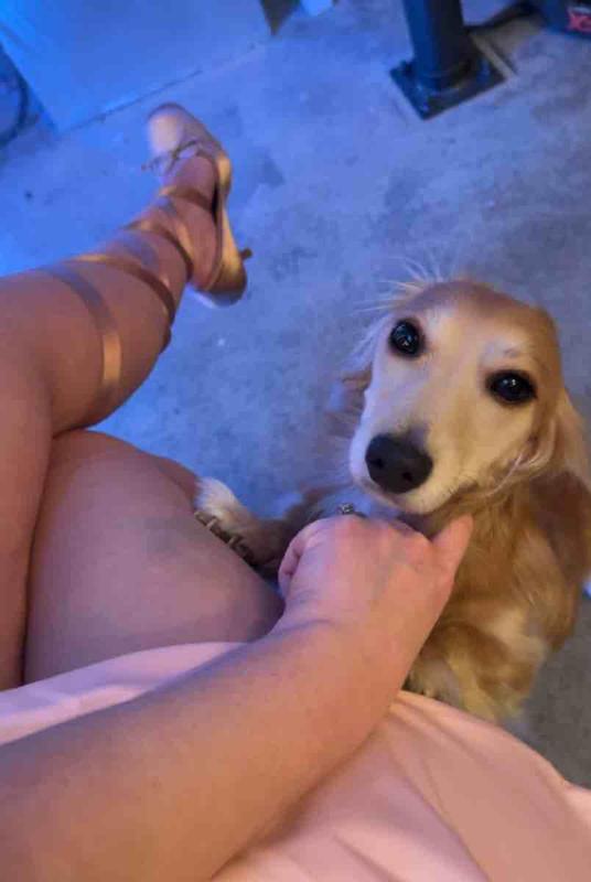 Review Thumbnail Image 0 240676806