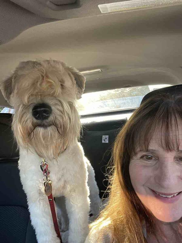 Customer photo for "very natural and long lasting"