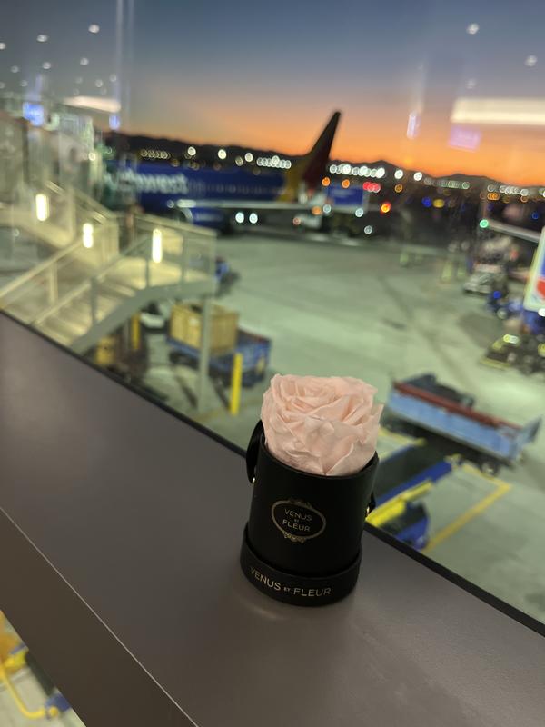 Review Thumbnail Image 2 231168134