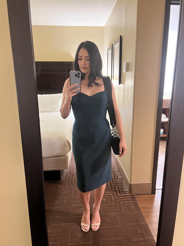 Gorgeous Dress but…