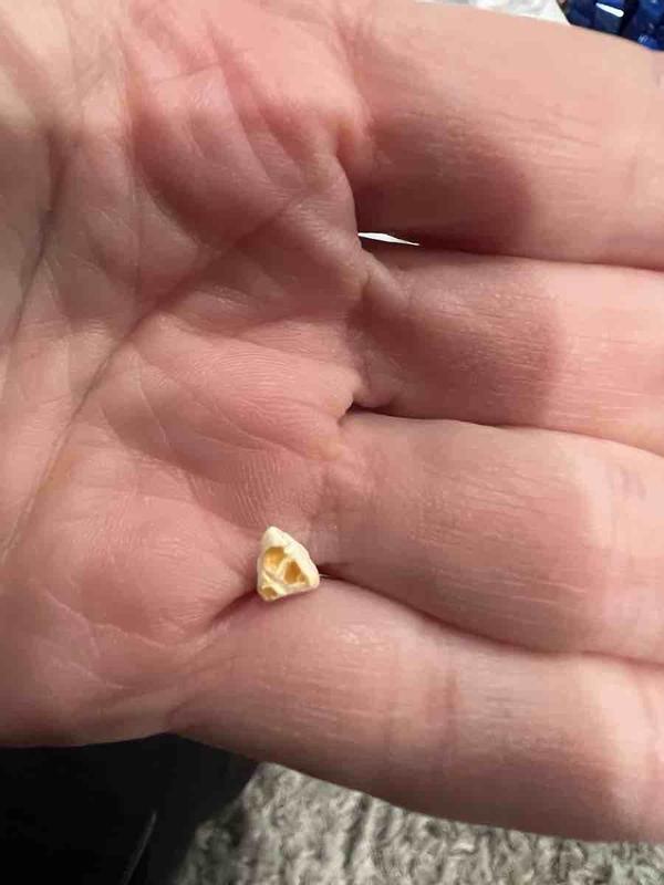 Review Thumbnail Image 0 248558354