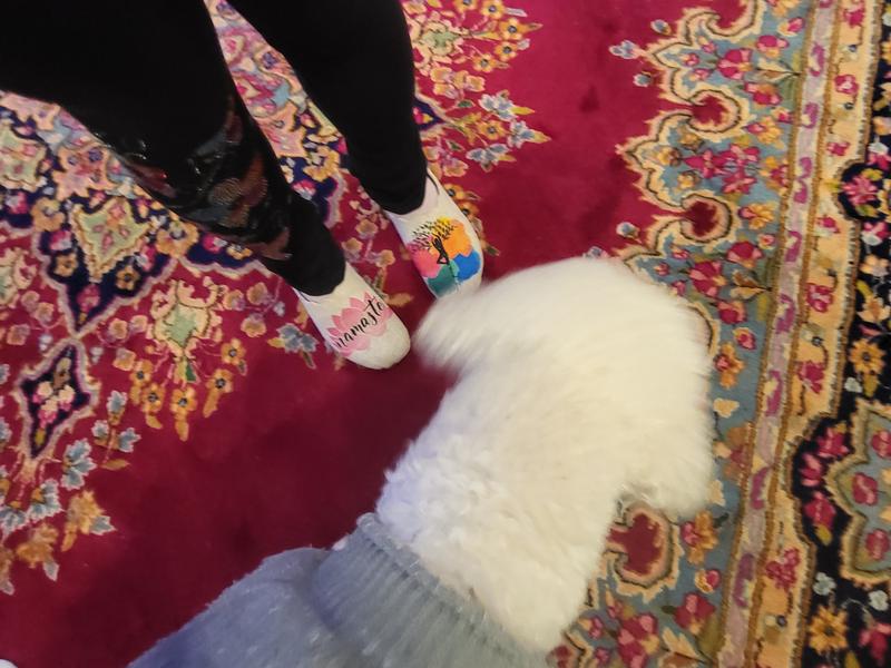 Review Thumbnail Image 0 238477570