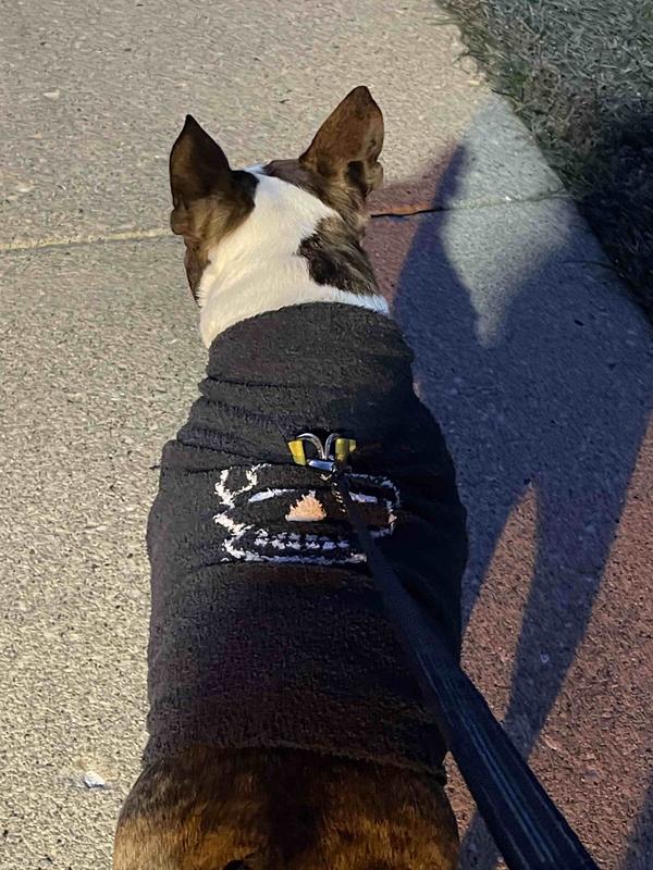 Review Thumbnail Image 2 211785147