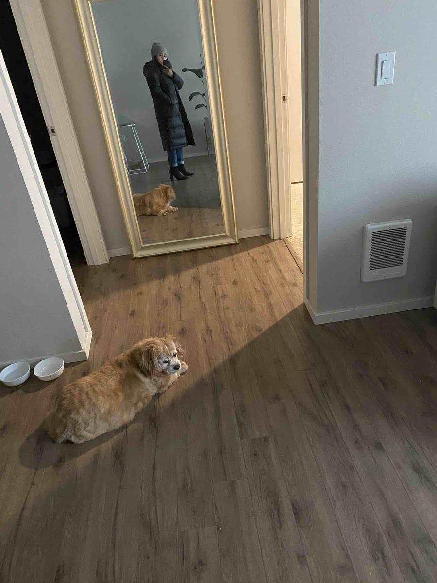 Review Thumbnail Image 0 201923639