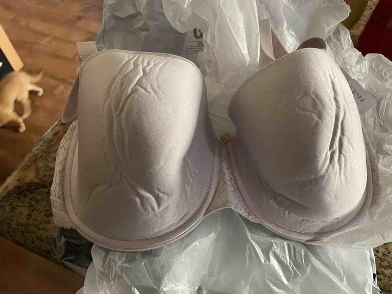 Review Thumbnail Image 1 229699729